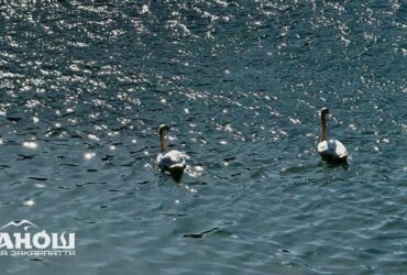 Прогноз погоди на Закарпатті