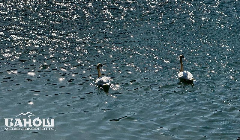 Прогноз погоди на Закарпатті