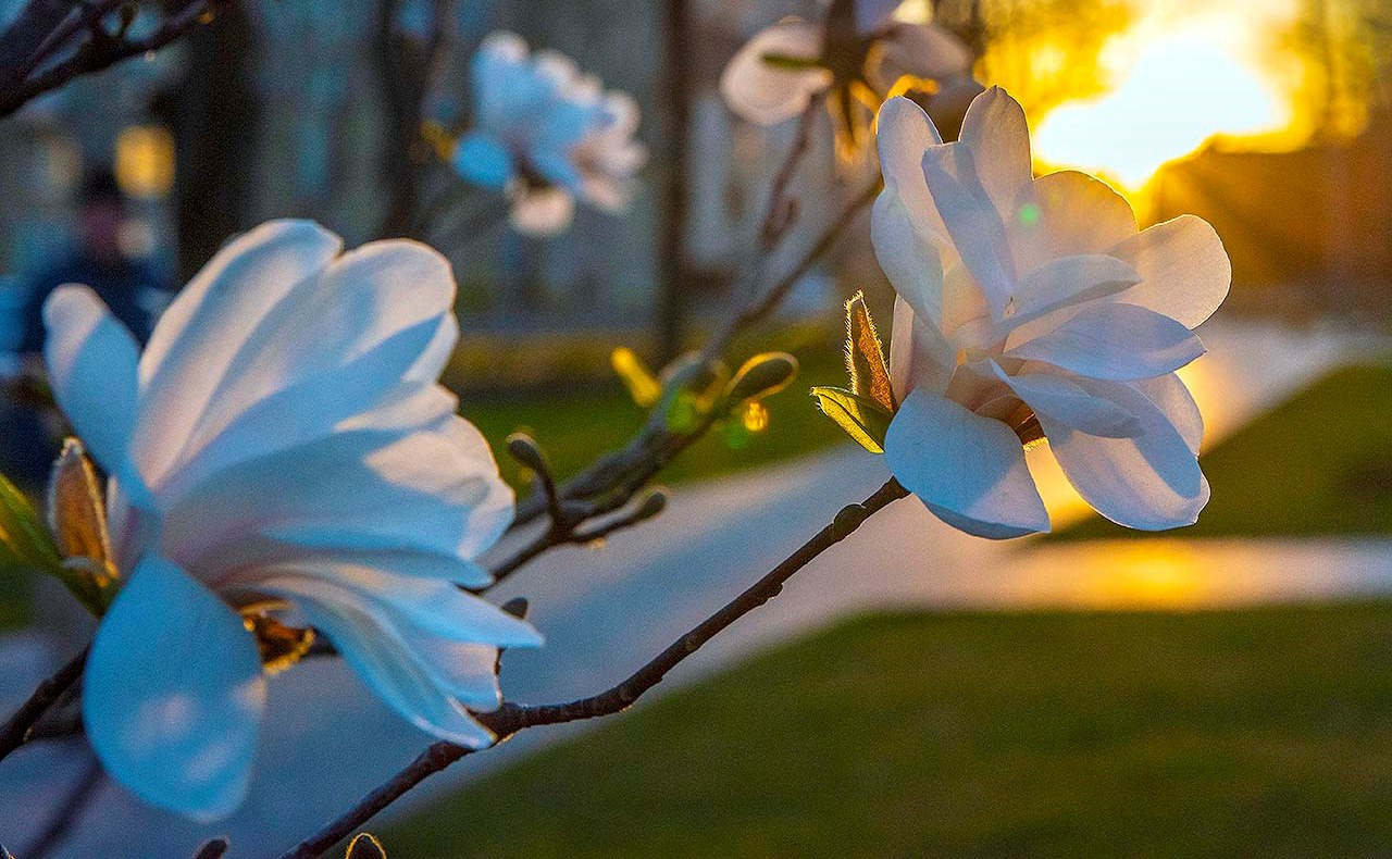 тепло весна