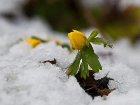 погода весна