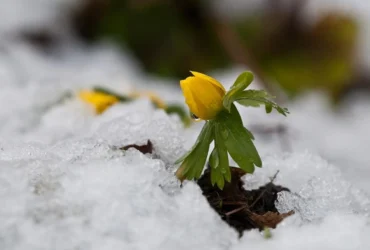 погода весна