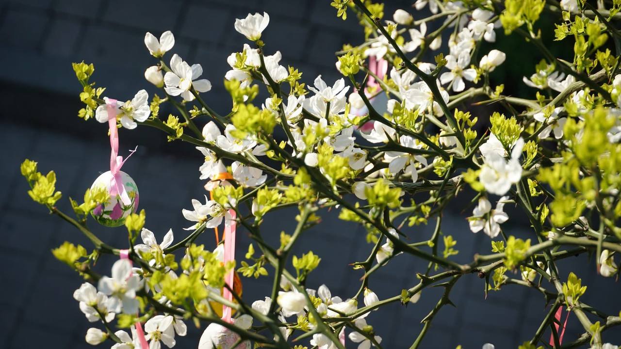 весна прогноз погоди на Закарпатті