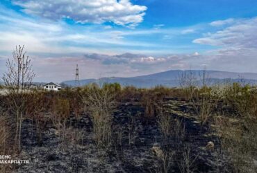 підпал сухостою