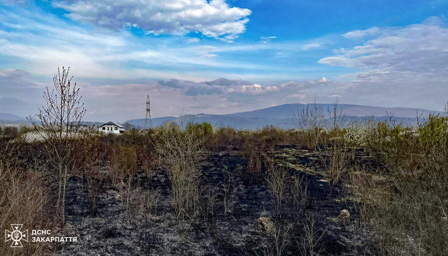 підпал сухостою