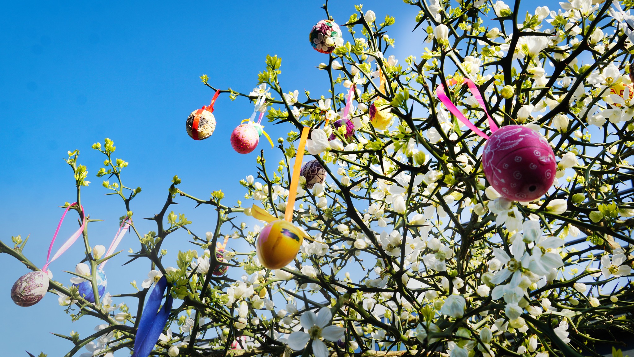 квіти, дерево, небо, писанки
