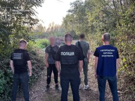 ліс, чоловіки, арешт