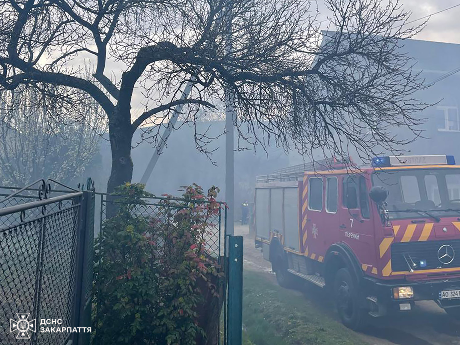 дерево, вулиця, пожежна машина