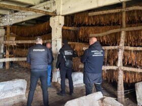 чоловіки, арешт