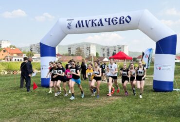 люди, поле, дія