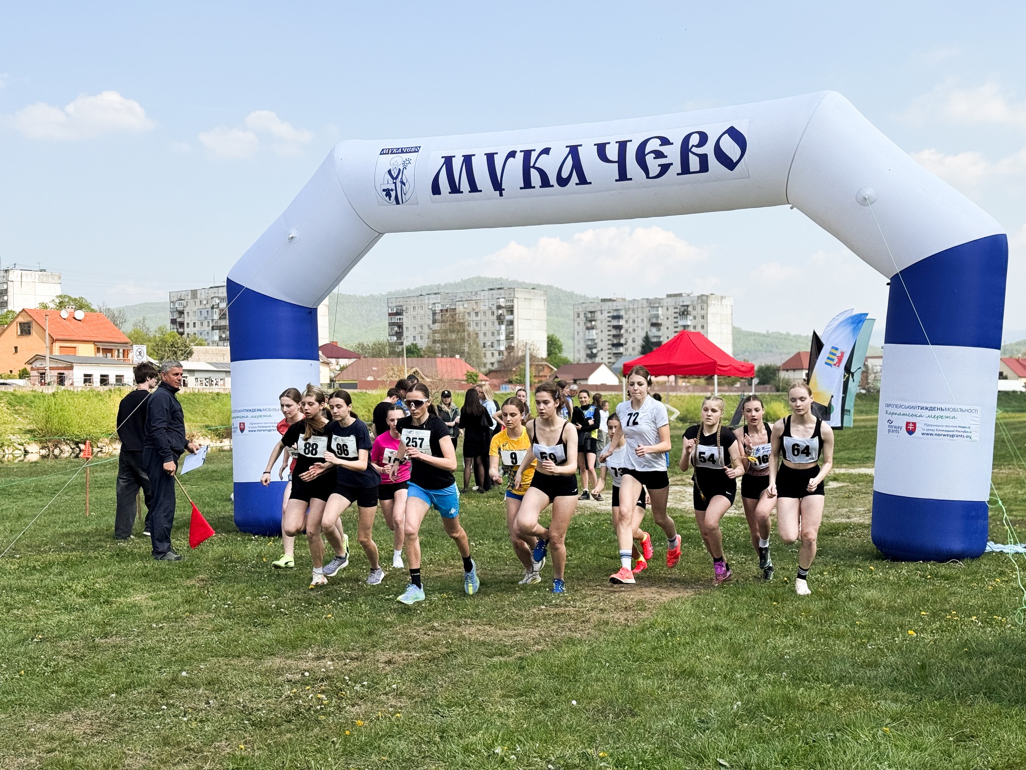 люди, поле, дія