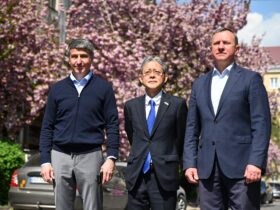 чоловіки, дерево, квіти, будинок