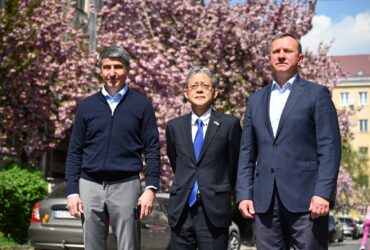 чоловіки, дерево, квіти, будинок