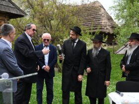 люди,дерева, споруда