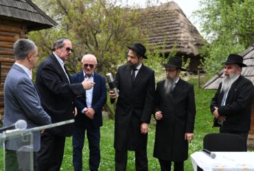 люди,дерева, споруда