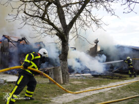 дерево, дим, пожежники, руїни