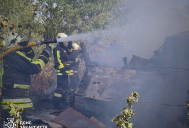 пожежники, дим, дерева