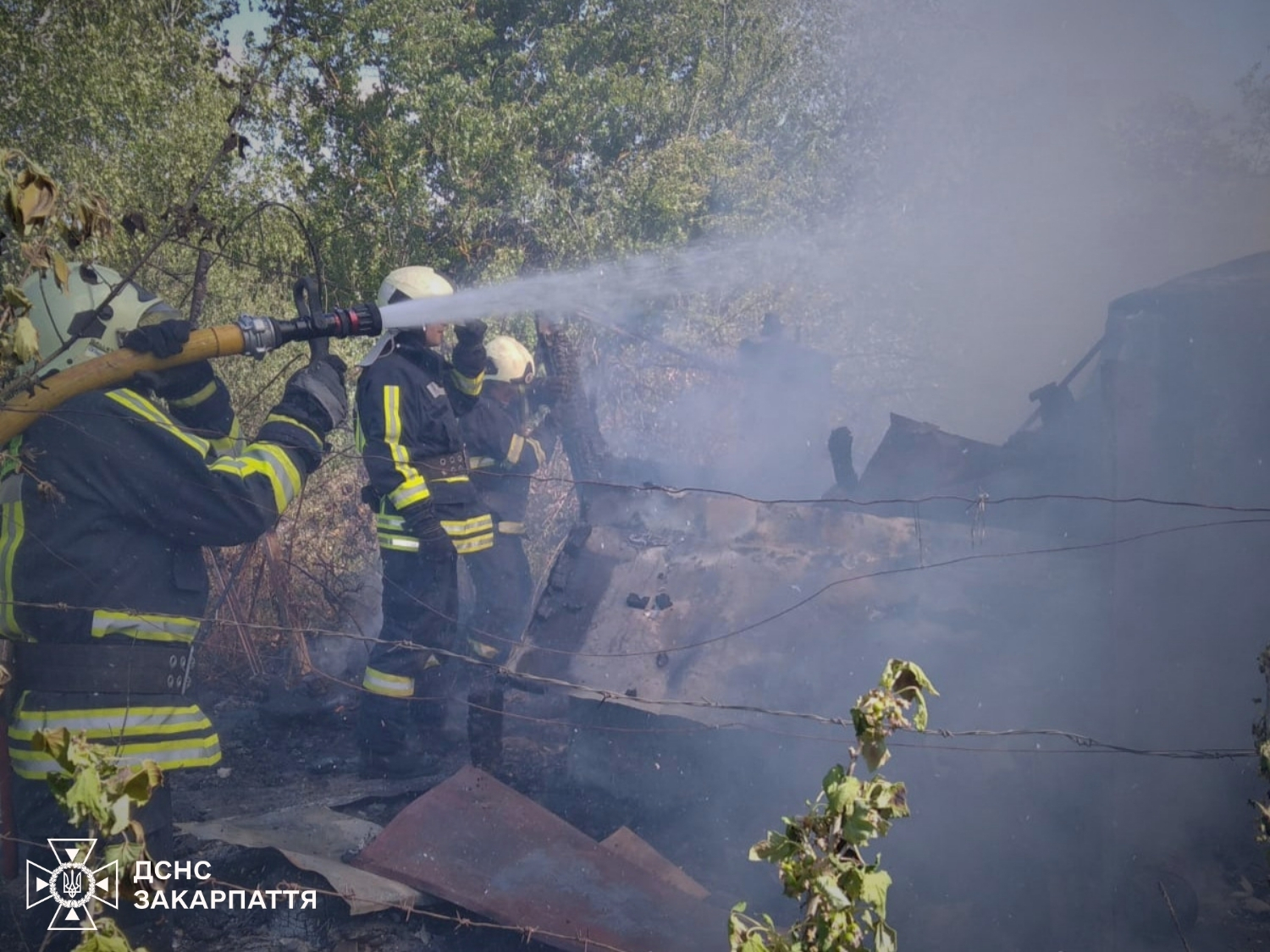 пожежники, дим, дерева