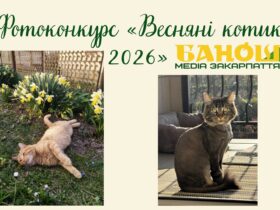 Фотоконкурс «Весняні котики 2026» від медіа «Банош» триває