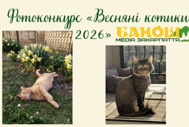 Фотоконкурс «Весняні котики 2026» від медіа «Банош» триває