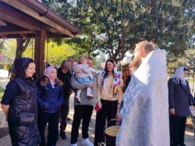 люди, свято, дерева, вулиця