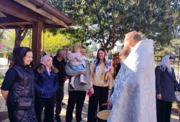 люди, свято, дерева, вулиця