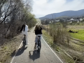 велосипедисти, доріжка, ліс