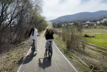 велосипедисти, доріжка, ліс