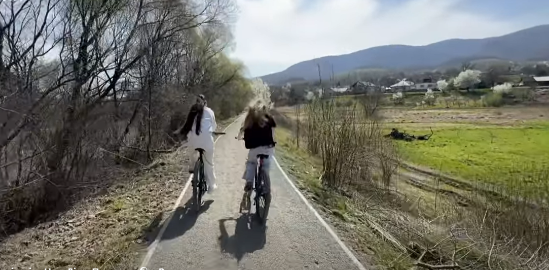 велосипедисти, доріжка, ліс