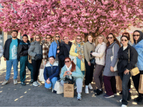 люди, дерева, квіти, вулиця