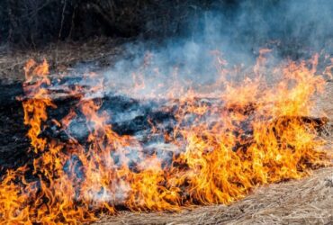 горит сухостой