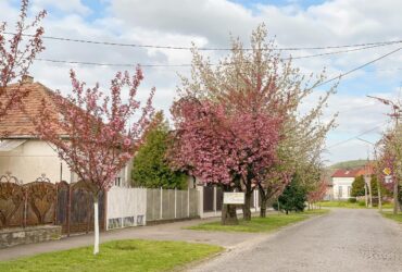 вулиця, будинки, дерева, квіти