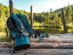 туристичного збору