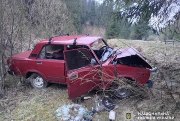 авто, галявина, дерева