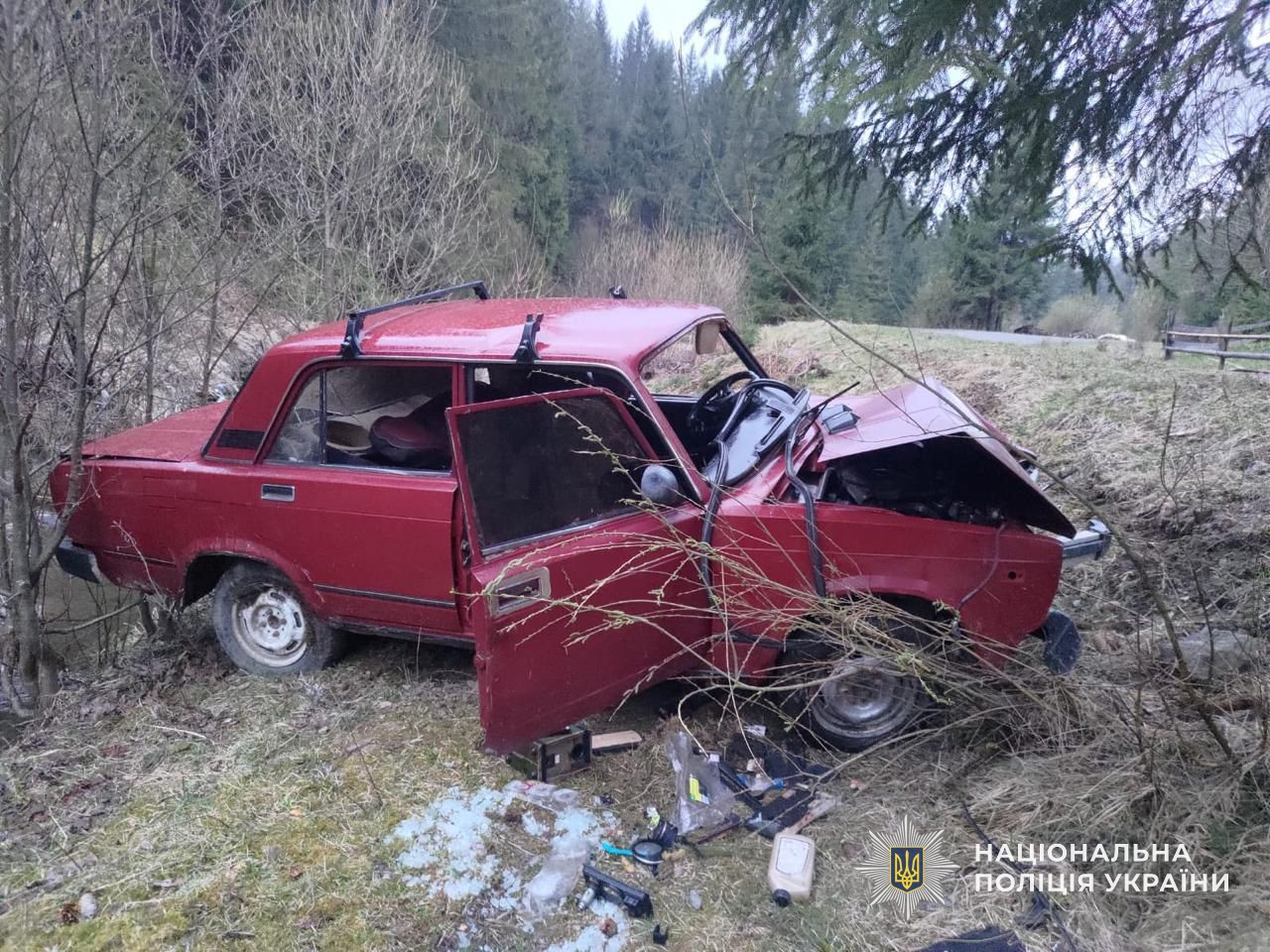 авто, галявина, дерева