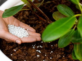 добрива та пестициди