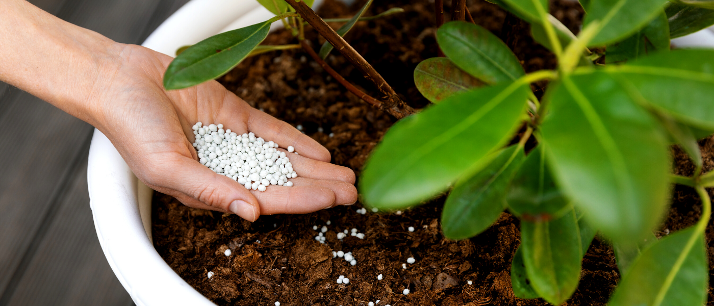 добрива та пестициди