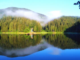 закарпаття