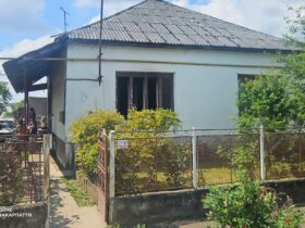 будинок, двір, кущі, огорожа