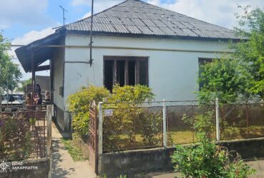 будинок, двір, кущі, огорожа
