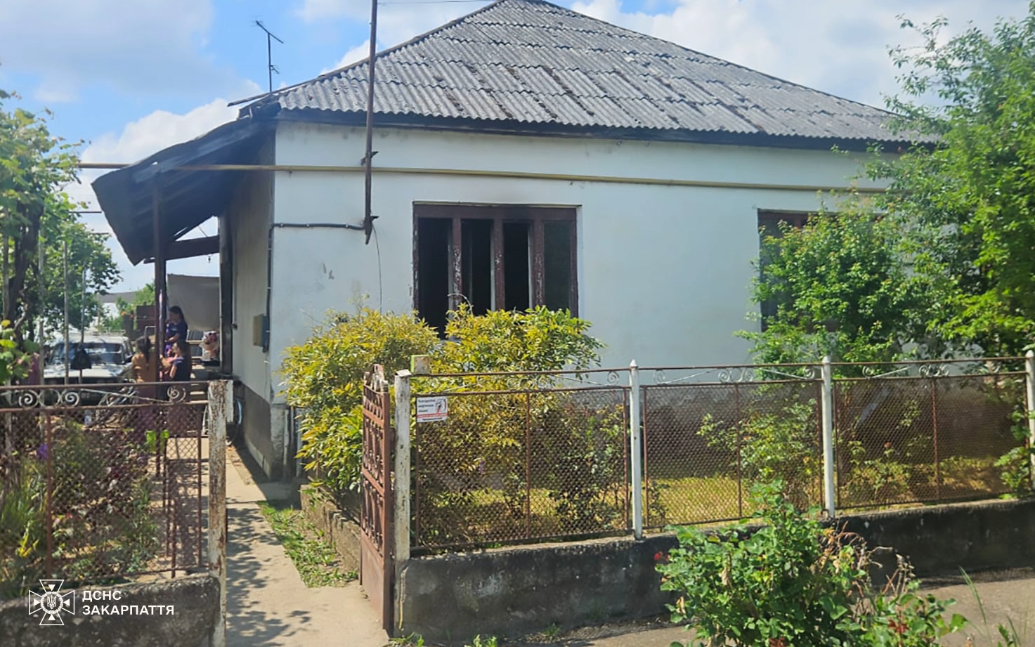 будинок, двір, кущі, огорожа
