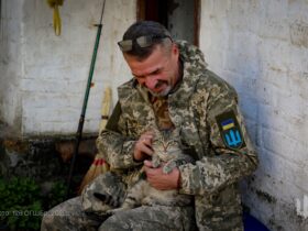 чоловік, кіт, будинок