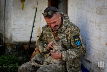 чоловік, кіт, будинок