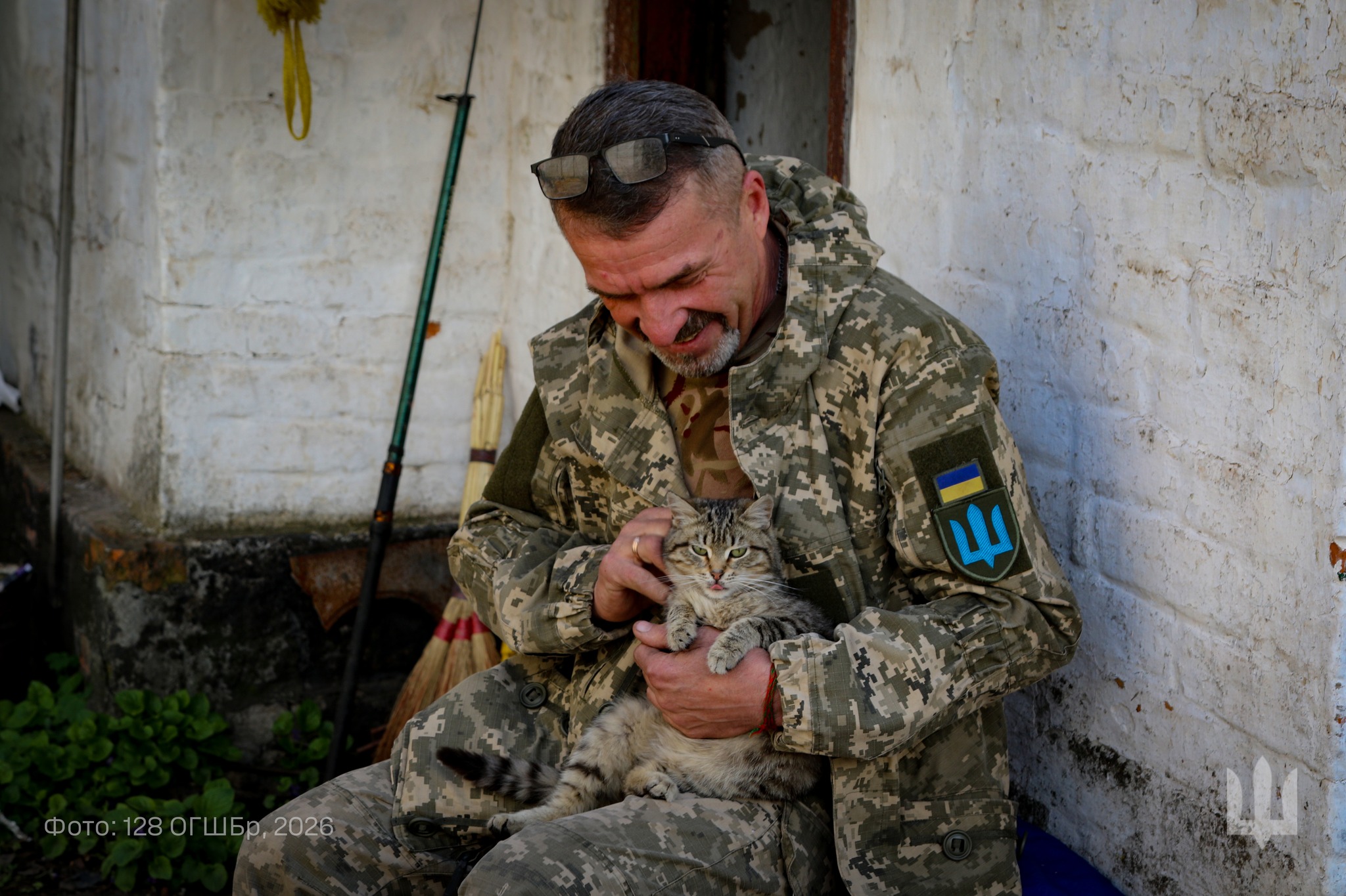 чоловік, кіт, будинок