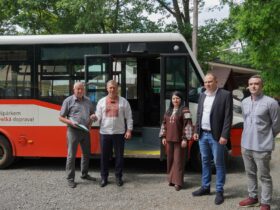 люди, автобус, дерева