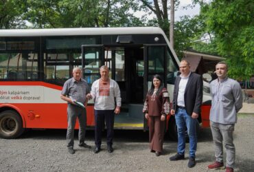 люди, автобус, дерева