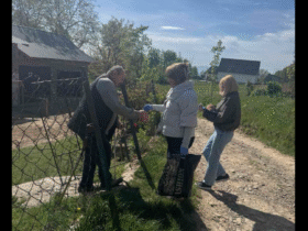 люди, вулиця, будинок, подвір'я