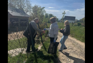 люди, вулиця, будинок, подвір'я