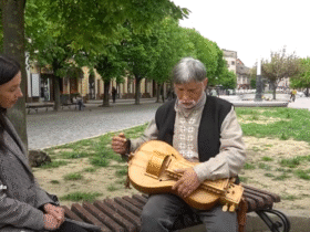 чоловік, жінка, вулиця, дерева