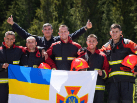 чоловіки, прапор, дерева