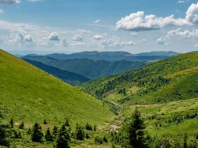погода